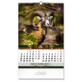 70031_093.jpg